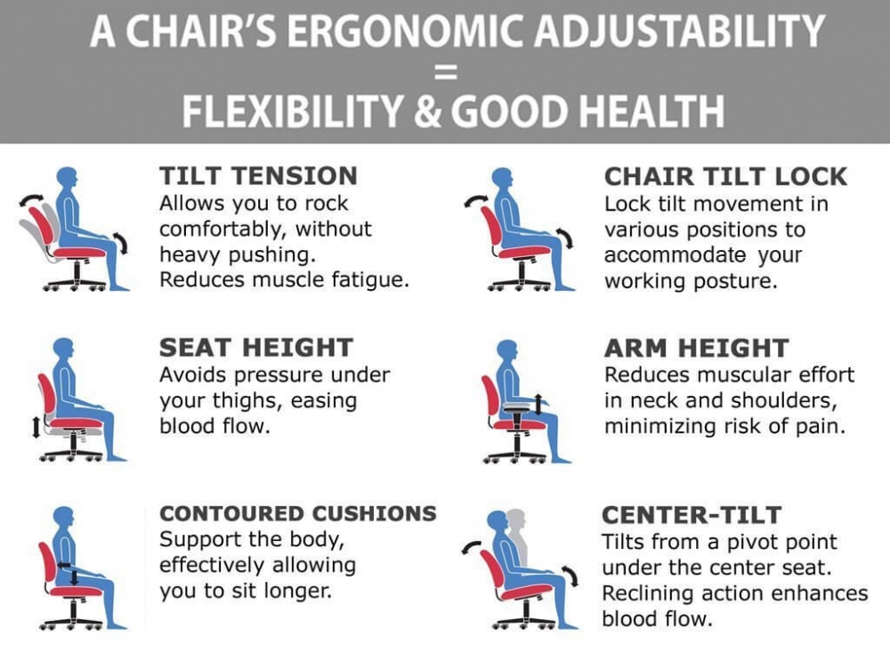 Business chairs ergonomic features Business chairs ergonomic features