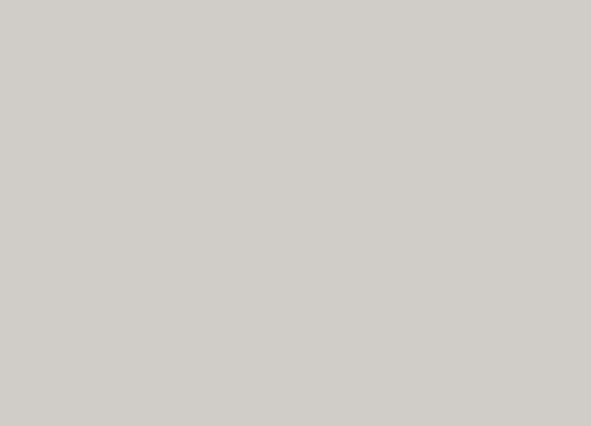 Calibre typical FE light gray Calibre typical FE light gray