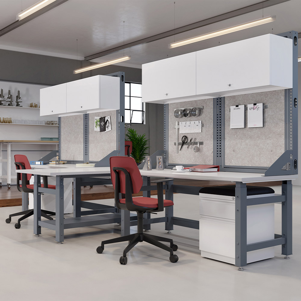 Dual workbench system with upper organizer environmental Dual workbench system with upper organizer environmental