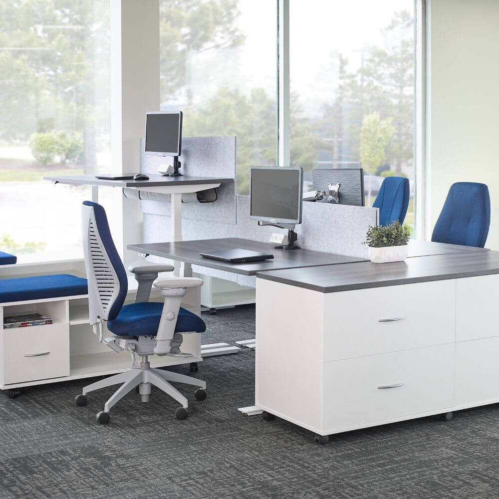 Office furniture chairs office desk chairs high back office chair ergonomic light gray frame and royal fabric workspace view Office furniture chairs office desk chairs high back office chair ergonomic light gray frame and royal fabric workspace view